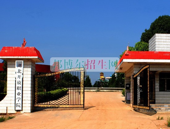 湖北開(kāi)放職業(yè)學(xué)院網(wǎng)站網(wǎng)址