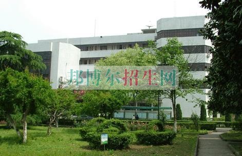航空服務適合女生學嗎