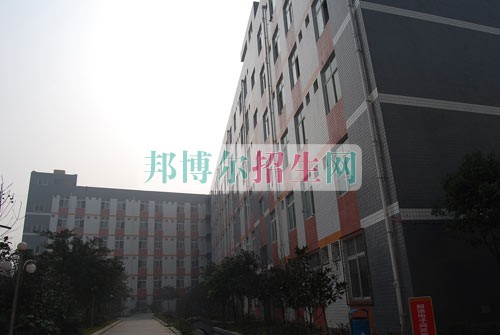 成都哪些大專的計算機(jī)信息管理比較好