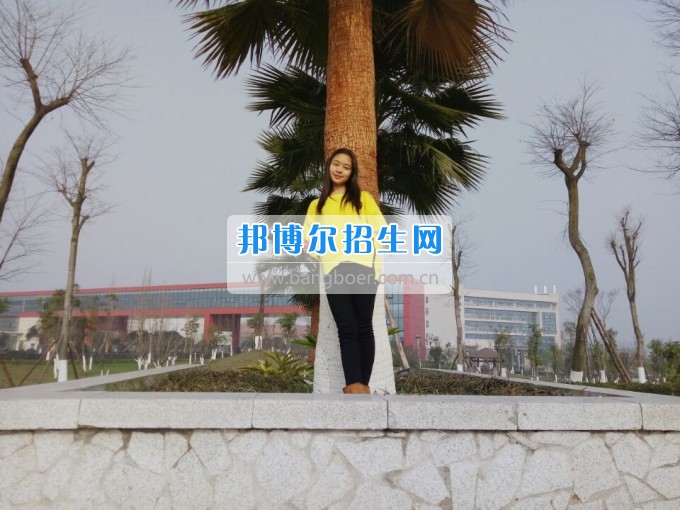 川南幼兒師范高等?？茖W校光榮榜