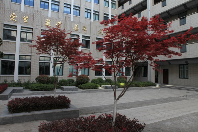 南京衛(wèi)生高等職業(yè)技術(shù)學校怎么樣、好不好