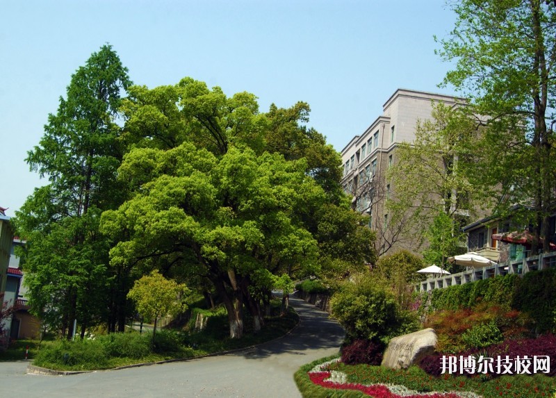 中國(guó)美術(shù)學(xué)院附屬中等美術(shù)學(xué)校2020年報(bào)名條件、招生要求、招生對(duì)象