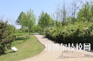 石家莊中英航空中等專業(yè)學校2020年報名條件、招生要求、招生對象