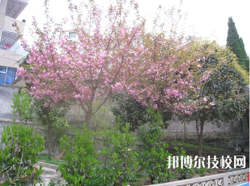 嵐皋縣中等職業(yè)技術(shù)學(xué)校2020年報(bào)名條件、招生要求、招生對(duì)象