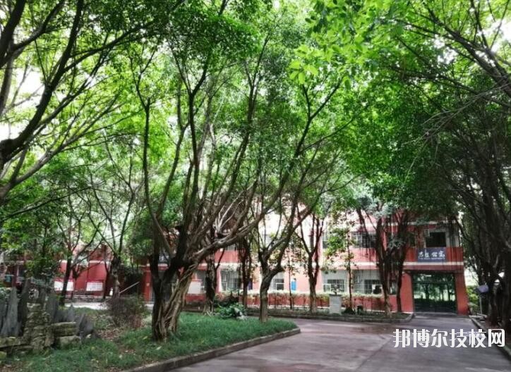 重慶舞蹈學校2020年報名條件、招生要求、招生對象