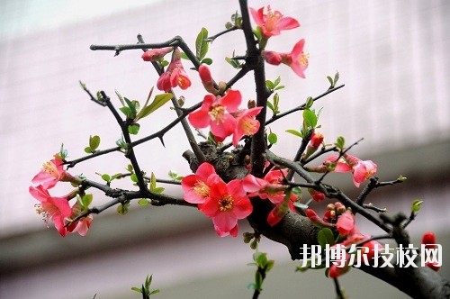 貴州廣播電影電視學(xué)校怎么樣、好不好
