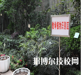 重慶風(fēng)景園林技工學(xué)校怎么樣、好不好