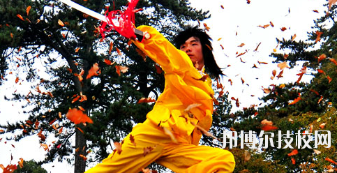 平?jīng)鲠轻嘉奈鋵W校2020年報名條件、招生要求、招生對象