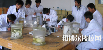 臨夏農(nóng)業(yè)學(xué)校2020年學(xué)費(fèi)、收費(fèi)多少