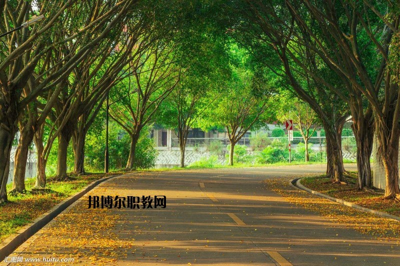 仙桃金園職業(yè)高級(jí)中學(xué)2020年報(bào)名條件、招生要求、招生對(duì)象