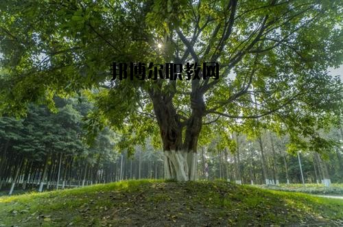 四川檔案學(xué)校2020年報(bào)名條件、招生要求、招生對象