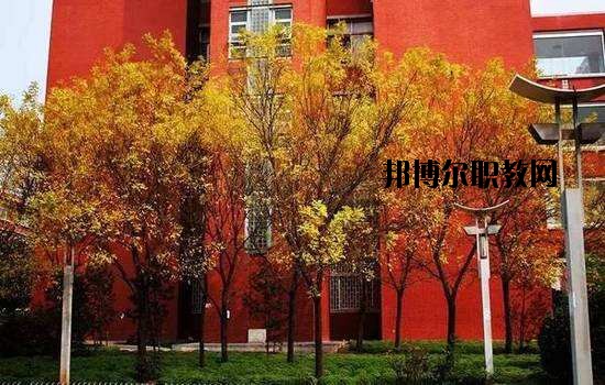 鶴峰職業(yè)技術(shù)學(xué)校2020年報(bào)名條件、招生要求、招生對(duì)象