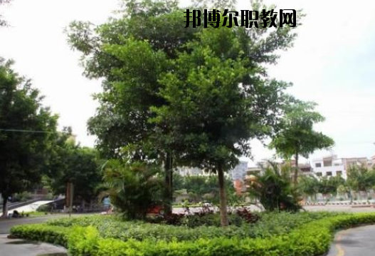 羅定中等職業(yè)技術(shù)學(xué)校2020年報(bào)名條件、招生要求、招生對(duì)象