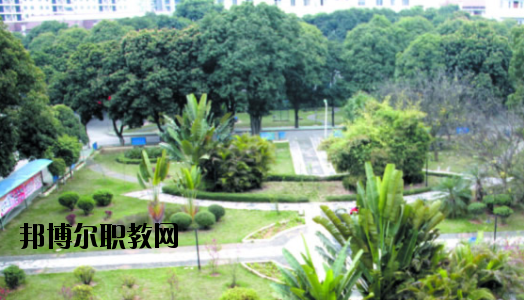 廣西百色農(nóng)業(yè)學(xué)校2020年報(bào)名條件、招生要求、招生對象 