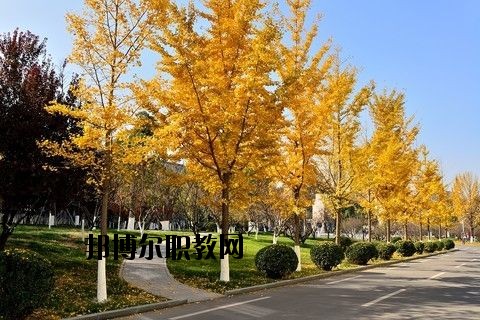 蘄春李時(shí)珍中等專業(yè)學(xué)校怎么樣、好不好