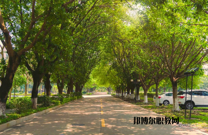 河南團校2021年報名條件、招生要求、招生對象