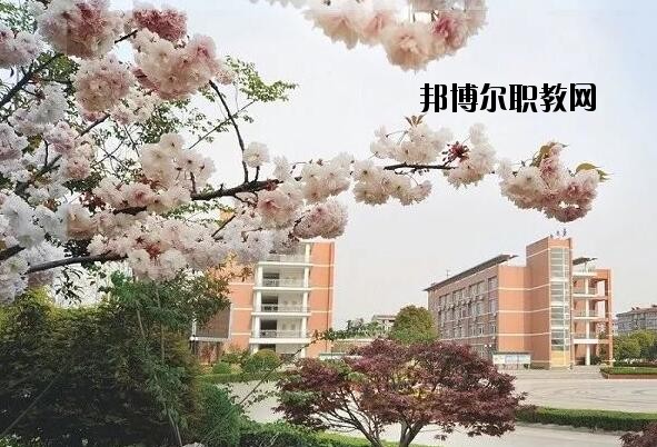 桐鄉(xiāng)衛(wèi)生學(xué)校2020年報(bào)名條件、招生要求、招生對象