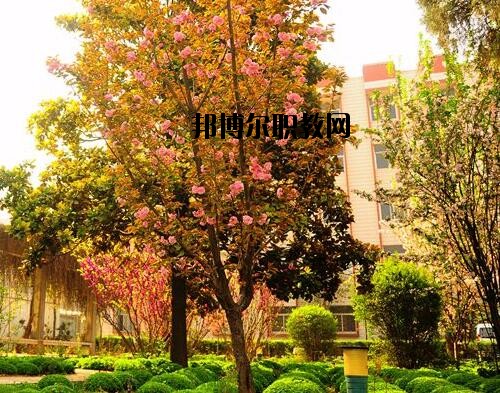 新鄉(xiāng)工業(yè)學(xué)校2021年報(bào)名條件、招生對(duì)象