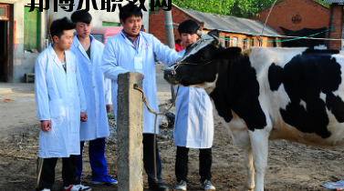 甘南畜牧學(xué)校2020年學(xué)費(fèi)、收費(fèi)多少