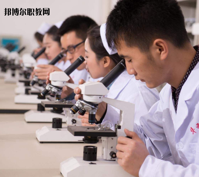 焦作護理學(xué)校怎么樣、好不好