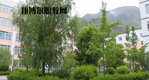 文縣職業(yè)技術(shù)學(xué)校2020年報(bào)名條件、招生要求、招生對(duì)象