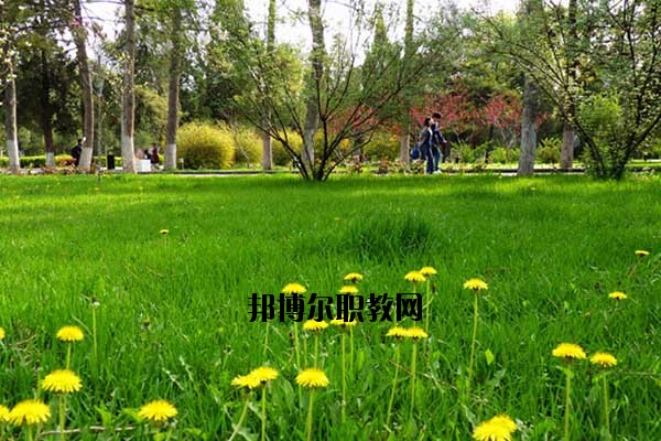 雙江縣職教中心2020年報(bào)名條件、招生要求、招生對(duì)象