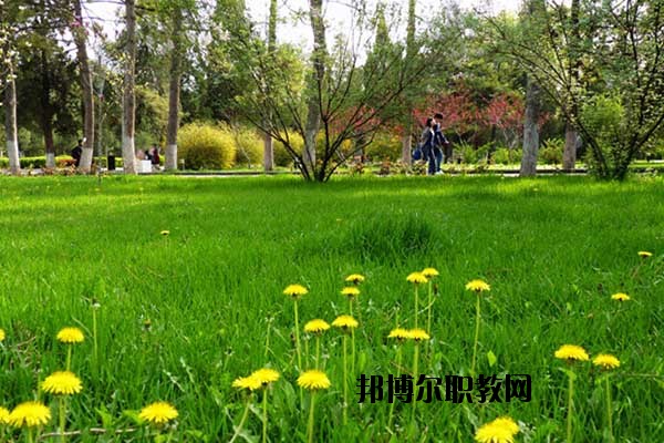 雙江縣職教中心怎么樣、好不好
