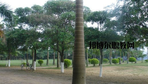 合浦石康職業(yè)技術(shù)學(xué)校怎么樣、好不好