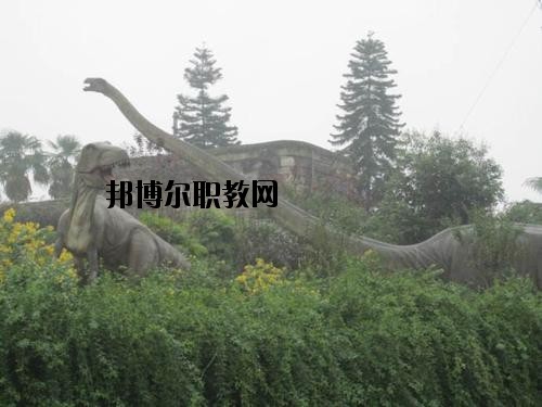 自貢三星職業(yè)技術(shù)學(xué)校2020年報名條件、招生要求、招生對象