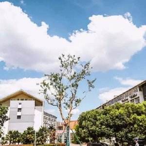 南京科技職業(yè)學院怎么樣、好不好