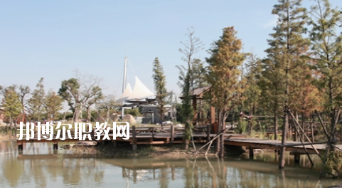 崇左八桂城市中等職業(yè)技術(shù)學(xué)校2020年招生辦聯(lián)系電話(huà) 