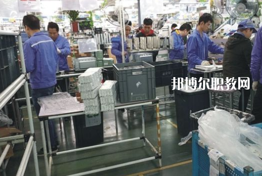 遂溪縣職業(yè)技術(shù)學(xué)校2020年報(bào)名條件、招生要求、招生對(duì)象
