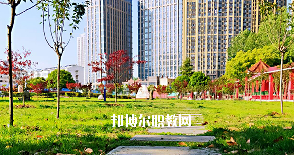 合肥飛躍學(xué)校2020年報(bào)名條件、招生要求、招生對(duì)象 
