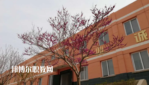 成縣化埡農(nóng)職業(yè)中學(xué)怎么樣、好不好
