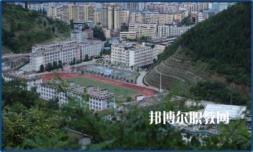 廣元朝天職業(yè)中學2020年報名條件、招生要求、招生對象