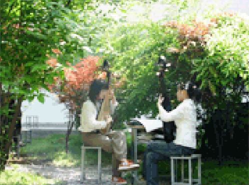 蘇州評(píng)彈學(xué)校2021年報(bào)名條件、招生要求、招生對(duì)象
