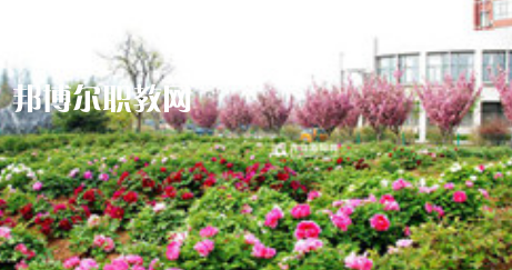 麻城木子店高級職業(yè)中學網站網址