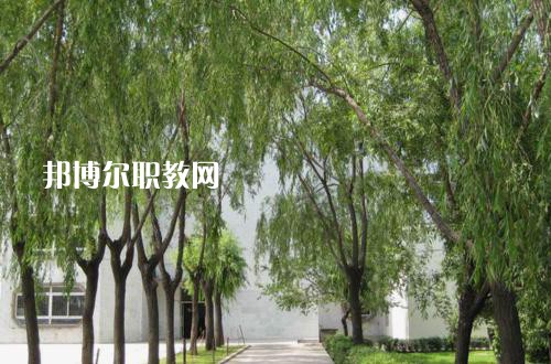 新疆喀什地區(qū)衛(wèi)生學校2021年報名條件、招生要求、招生對象