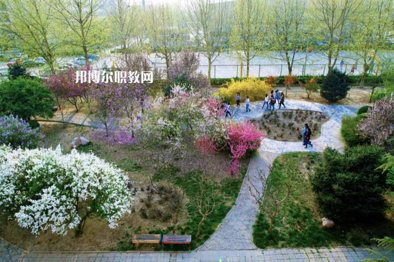 石家莊教聯(lián)中等專業(yè)學(xué)校2022年招生錄取分數(shù)線