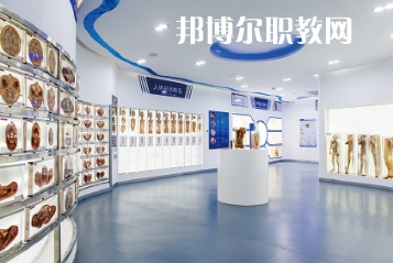 珠海市衛(wèi)生學校網站網址