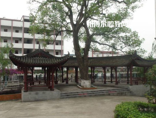 四川合江先市職業(yè)高級中學校怎么樣、好不好