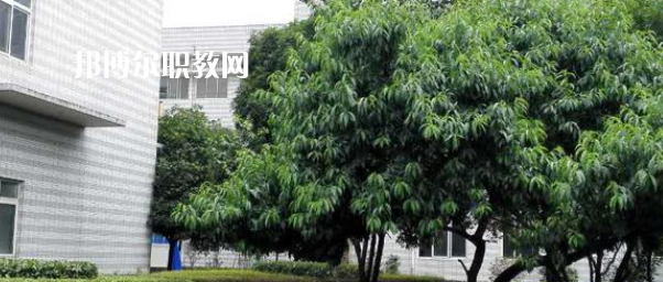 成都市中山職業(yè)技術(shù)學(xué)校2022年報(bào)名條件、招生要求、招生對(duì)象