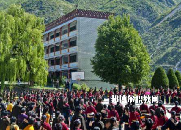 四川省藏文學(xué)校2022年報名條件、招生要求、招生對象
