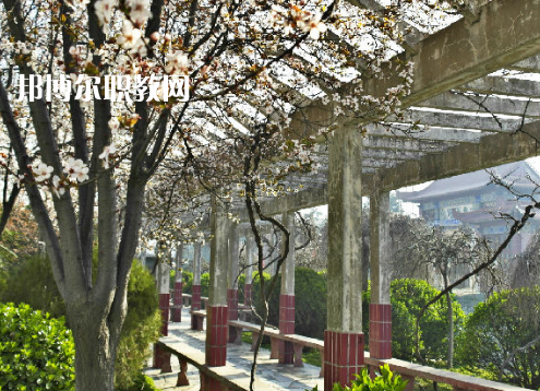 阜陽工業(yè)經(jīng)濟(jì)學(xué)校2022年報(bào)名條件、招生要求、招生對象