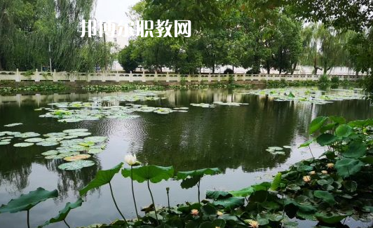 武漢新洲高級(jí)職業(yè)中學(xué)2022年招生辦聯(lián)系電話(huà)