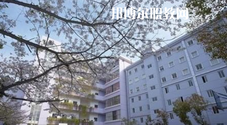 武漢體育舞蹈藝術(shù)學(xué)校2022年怎么樣、好不好