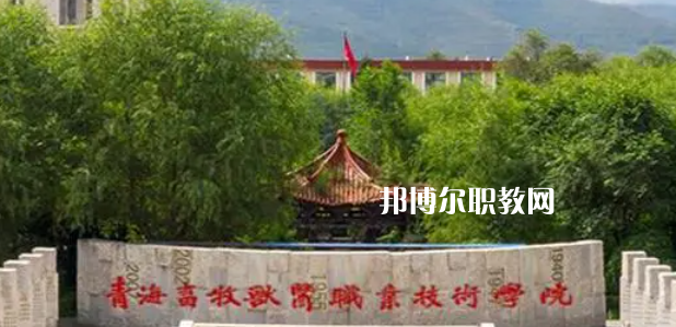 青海高職?？拼髮W(xué)2023年排名(文科)