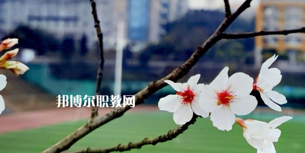 2023眉山技師學(xué)院招生計劃 招生人數(shù)是多少(附要求、條件、對象)
