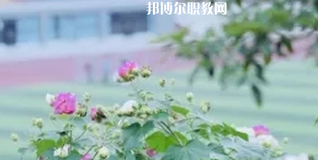 眉山技師學(xué)院地址在哪里，哪個地區(qū)，哪個城市?