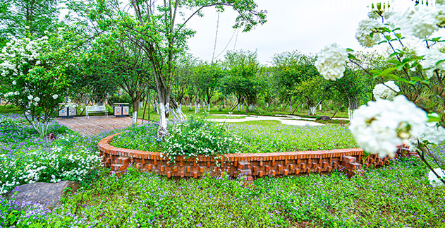 重慶望江技工學(xué)校地址在哪里，哪個(gè)地區(qū)，哪個(gè)城市?